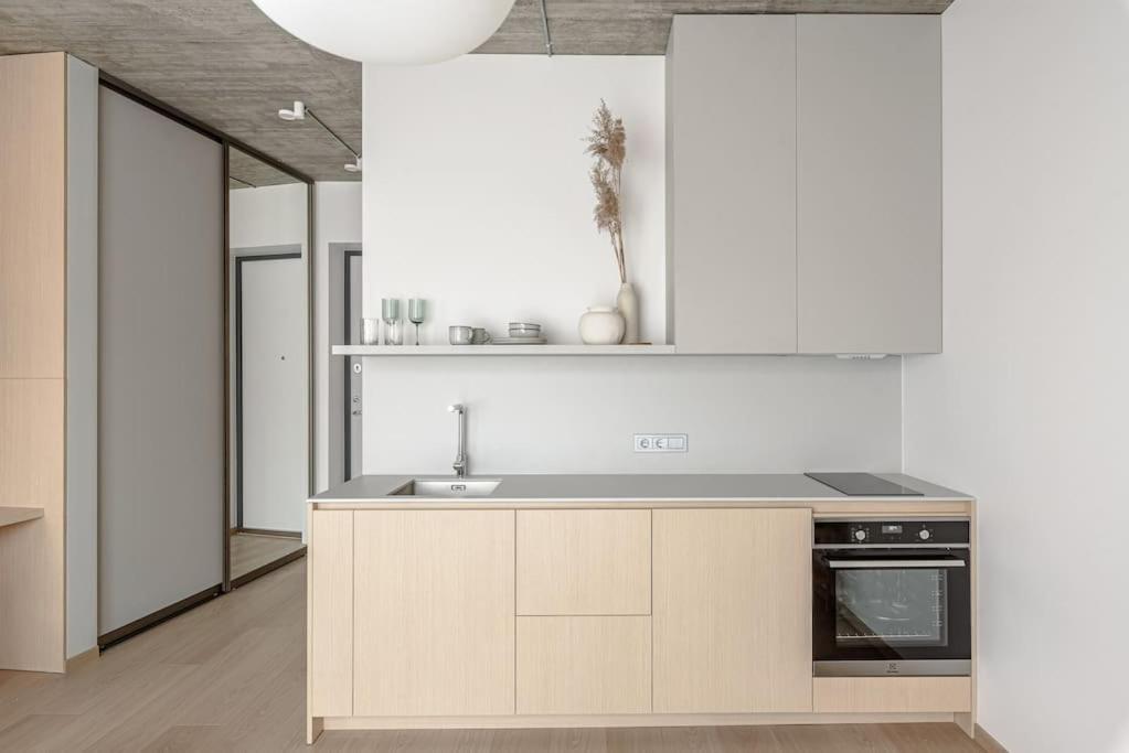 Cozy Japanese Oasis With Balcony, Gramophone, Netflix Daire VNO Dış mekan fotoğraf